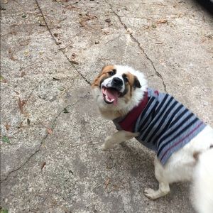 Meet your Posher, Dee